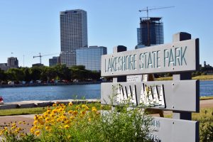 The Lakeshore State Park sign sits in a bed of wild flowers with the city skyline in the background