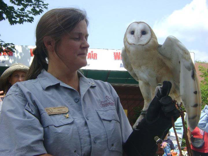 Anne with an Owl