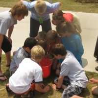 7 Principles of Leave No Trace