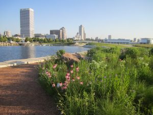 Wetland Prairie and Downtown