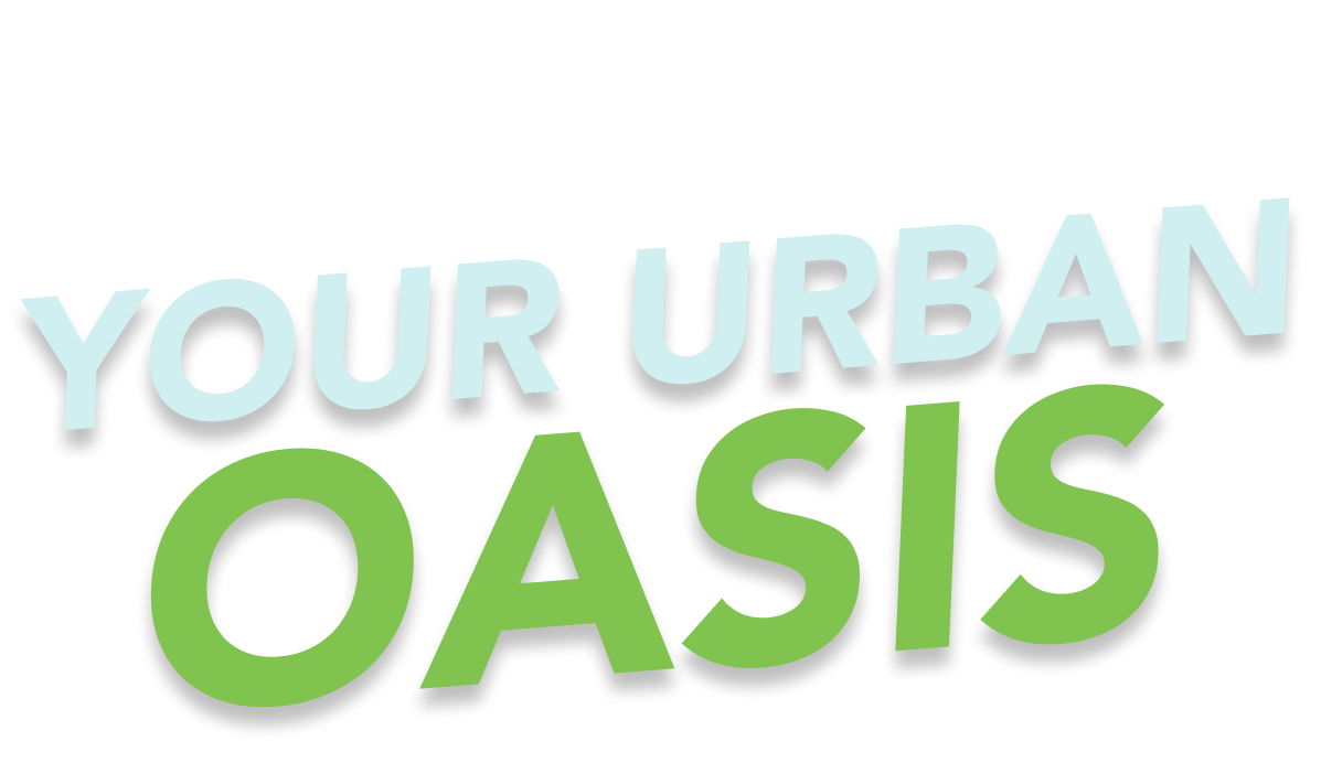 Lakeshore State Park Your Urban Oasis