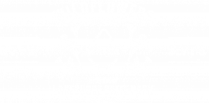 Wildflowers on the Water